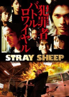 STRAY SHEEP/