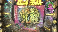 #230 ロックオン/ハーデス/P番長2/北斗無双/北斗7/天龍/動画