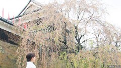 #5 上田城・1