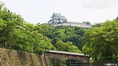 #21 和歌山城・2