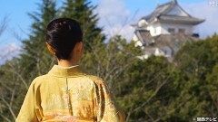 #35 伊賀上野城・1