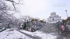 #43 長浜城