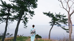 #53 丸岡城