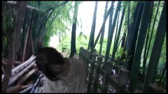 【放送禁止】恐すぎるテレビ心霊動画20〜テレビ制作会社に隠された心霊映像集〜