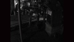 恐すぎる監視カメラ 一線を越えた記録編10本