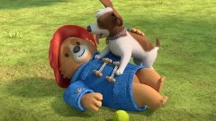 パディントンのぼうけん 第13話 パディントンの最高の風の日／パディントンのわんちゃんトレーニング