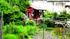 実録!!ほんとにあった恐怖の投稿映像〜輪廻の恐怖〜