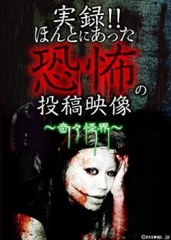実録!!ほんとにあった恐怖の投稿映像　〜奇々怪界〜
