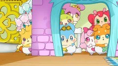 第48話 ドキドキ！こころの誕生日