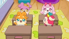 第100話 ここたま学校、開校です！／新メンバー!?ノラたまトリオ