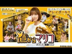鷹からマリコ〜野球も私も“裏”がある〜