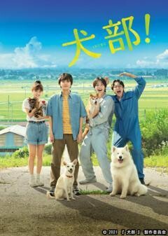 犬部！