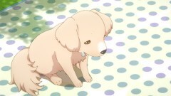 ９話 きゅうちゃんのゆううつ