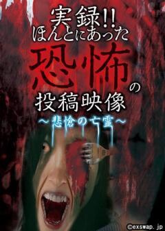 実録!!ほんとにあった恐怖の投稿映像 〜悲愴の亡霊〜