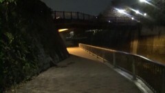 実録!!ほんとにあった恐怖の投稿映像 〜連魔亡霊〜