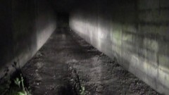 実録!!ほんとにあった恐怖の投稿映像 〜魑魅魍魎〜