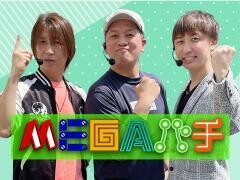 MEGAパチ