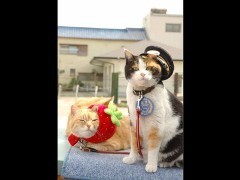 たまはスーパー駅長　〜イチゴの風にのって〜