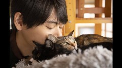 #1 猫と暮らすということ
