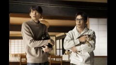 #2 猫は、人と違って素直である