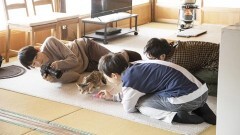 #4 猫は敵と味方を瞬時に見分ける