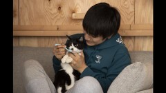 #9 猫は、いつも冒険家だ