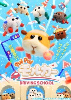 PUI PUI モルカー DRIVING SCHOOL