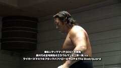 8人タッグマッチ 30分1本勝負　長州力、冨宅飛駈、ミラクルマン、三原一晃 vs タイガースマスク、ブラックバファロー、ヲロチ、The Bodyguard