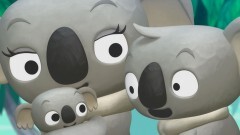 映画ざんねんないきもの事典
