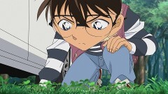 第1012話 山菜狩りとクローバー（後編）