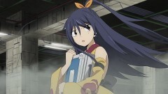 #29 29号