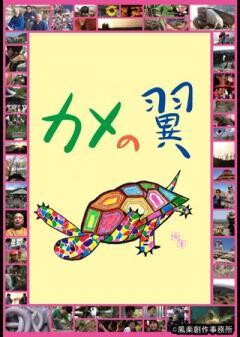 カメの翼