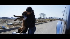 dog and people 犬と人の間にあるもの