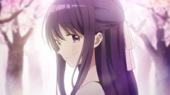 第8話 お花見とすれ違い