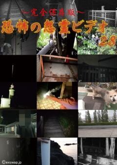 〜完全保存版〜恐怖の怨霊ビデオ28