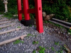 実録!!ほんとにあった恐怖の投稿映像 〜心霊怪奇〜