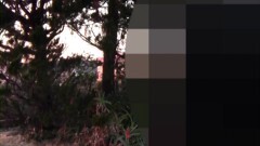 実録!!ほんとにあった恐怖の投稿映像 〜惨劇の記録〜