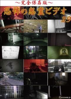 〜完全保存版〜恐怖の怨霊ビデオ29