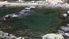 PV