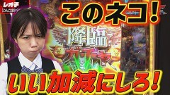 #28 パチンコ攻略OL/P にゃんこ大戦争 多様性のネコ