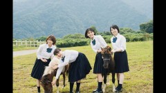 17歳は止まらない