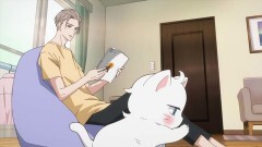 3話目 肉球肉球肉球…