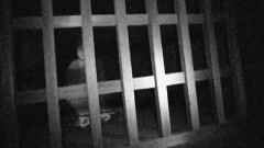 実録!!ほんとにあった恐怖の投稿映像 〜恐怖共鳴〜