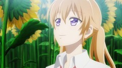 其ノ十二 万里に渡る灯火