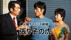 火曜サスペンス劇場　張り子の虎