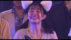 王様の優しい猫