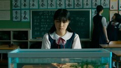 予告編