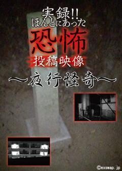 実録!!ほんとにあった恐怖の投稿映像 〜夜行怪奇〜