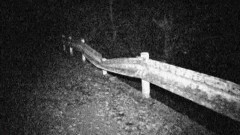 〜完全保存版〜恐怖の怨霊ビデオ42