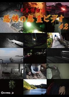 〜完全保存版〜恐怖の怨霊ビデオ42